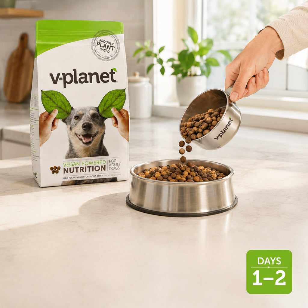 Dog Food for Weight Management in UAE: The Complete Guide