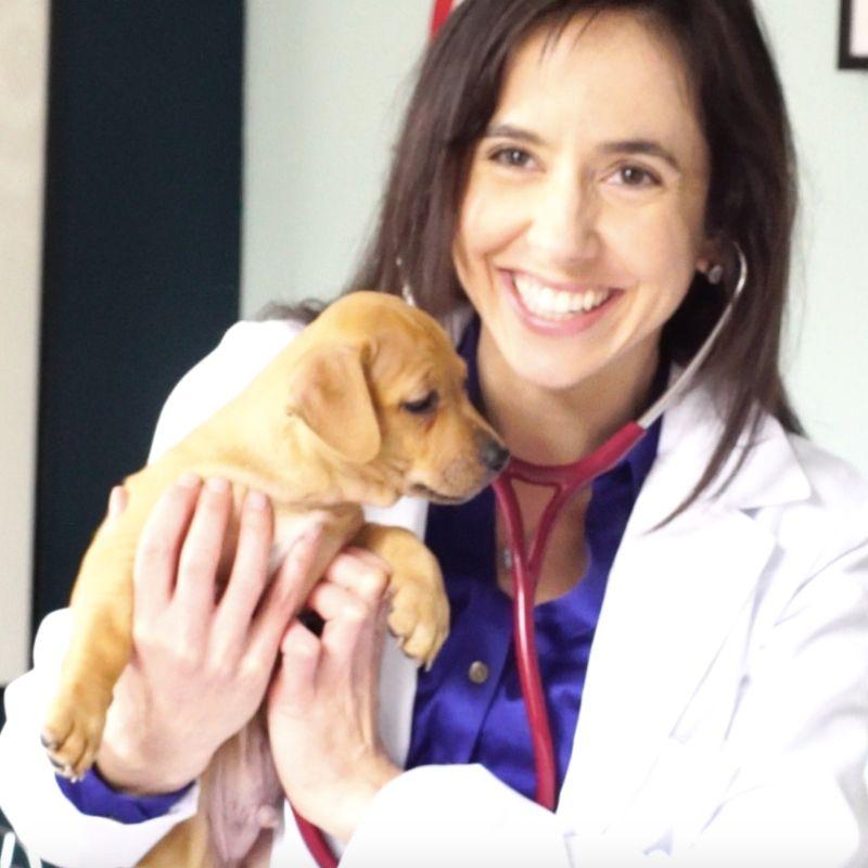 Dr. Lorelei Wakefield