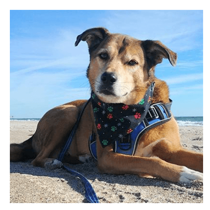 Just what he needed!