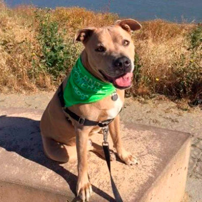 Perfect weight and lots of energy