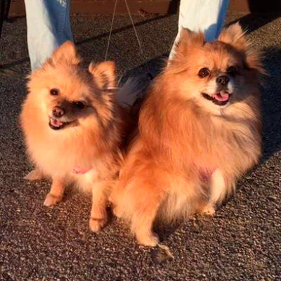 Shaking and stomach problems gone!