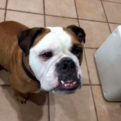 Slim, trim, and tear-stain free!