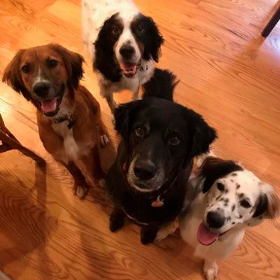 Nutritious diet for all ages