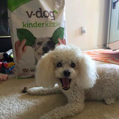 Diabetic thriving on v-dog