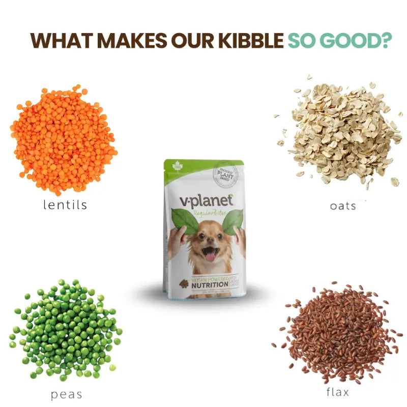 V - Planet Vegan Dog Food - Regular , Sample Pack 70 gms