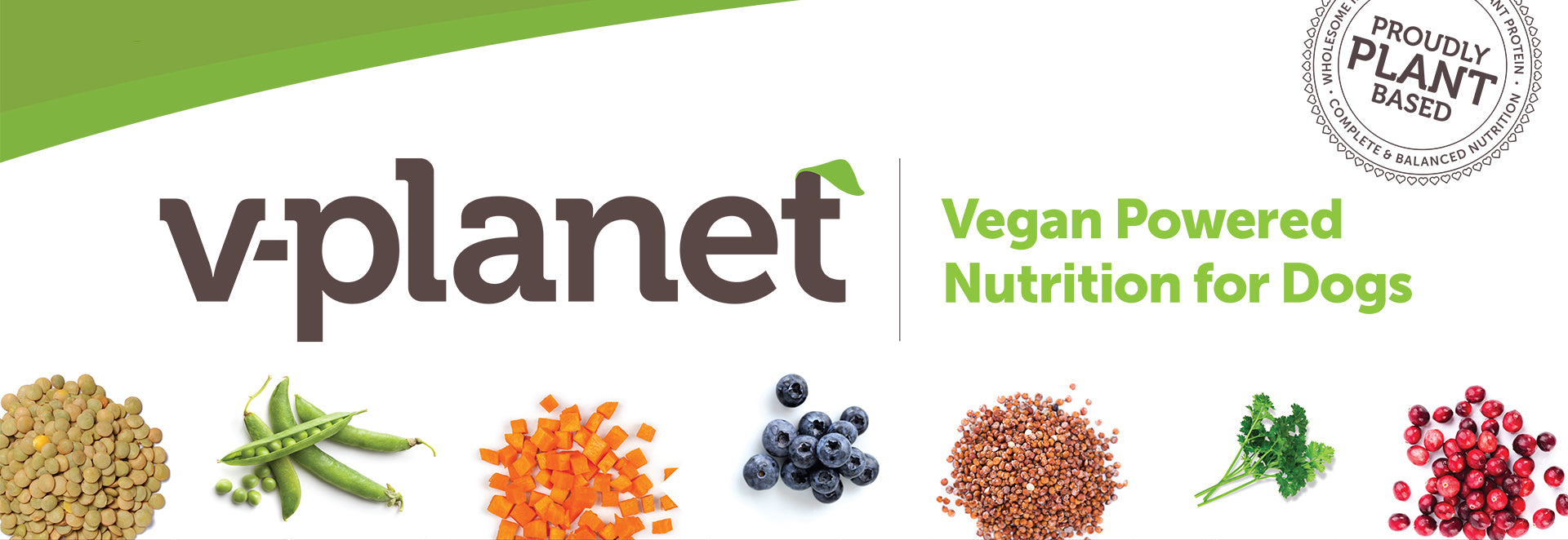 ANYTHINGVEGAN.AE