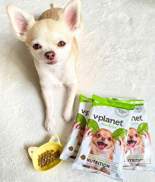 V Planet Mini Bites Sample Vegan Pet Food Anything Vegan