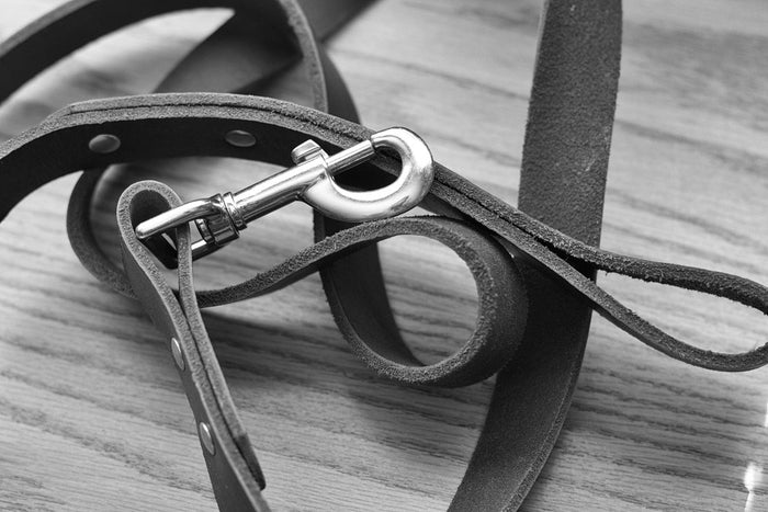 Close-up of a leather dog lead and clip