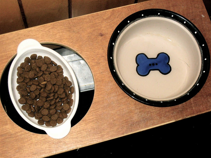 Two dog bowls side by side, one filled with kibble