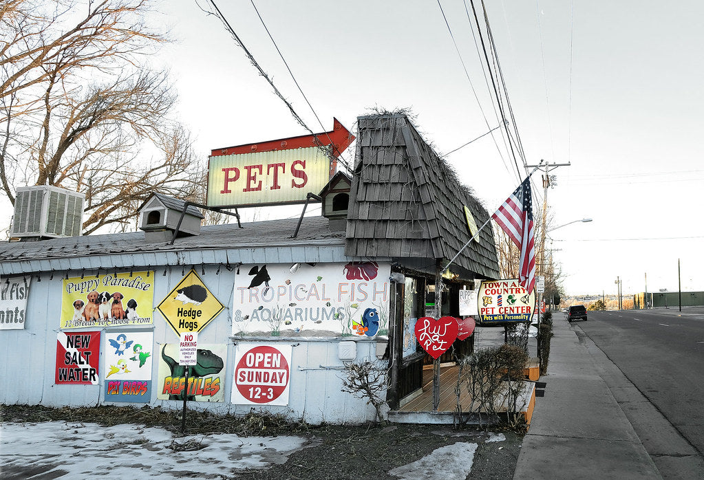 Pet shop storefront with a PETS sign
