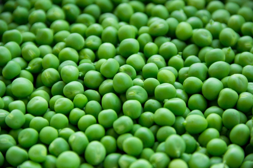 Close-up of fresh green peas