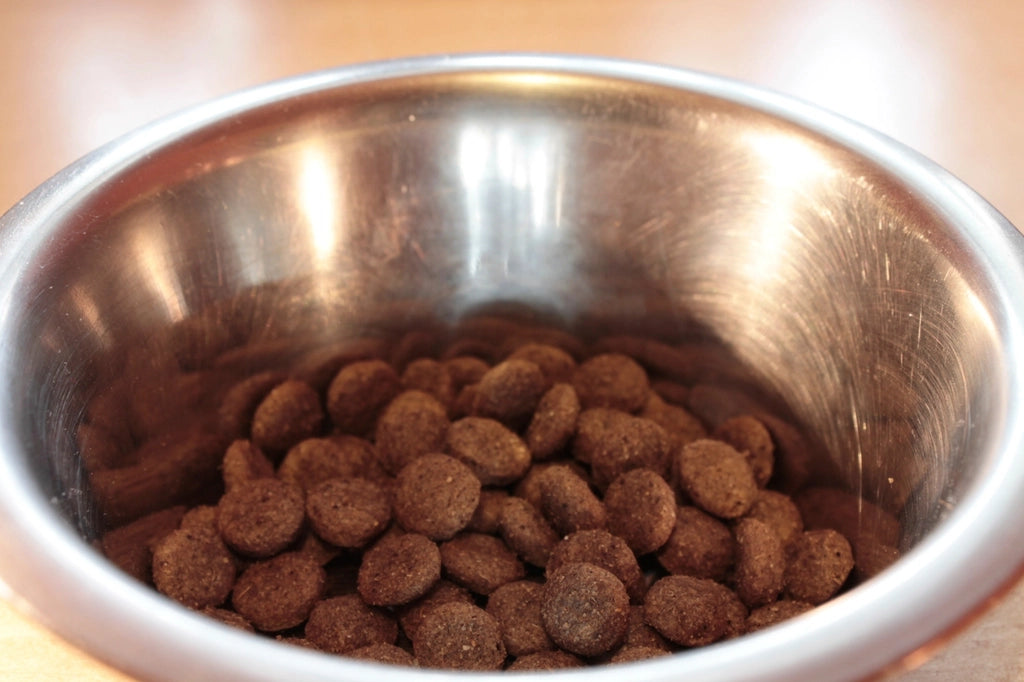 Dry kibble in a stainless steel dog bowl