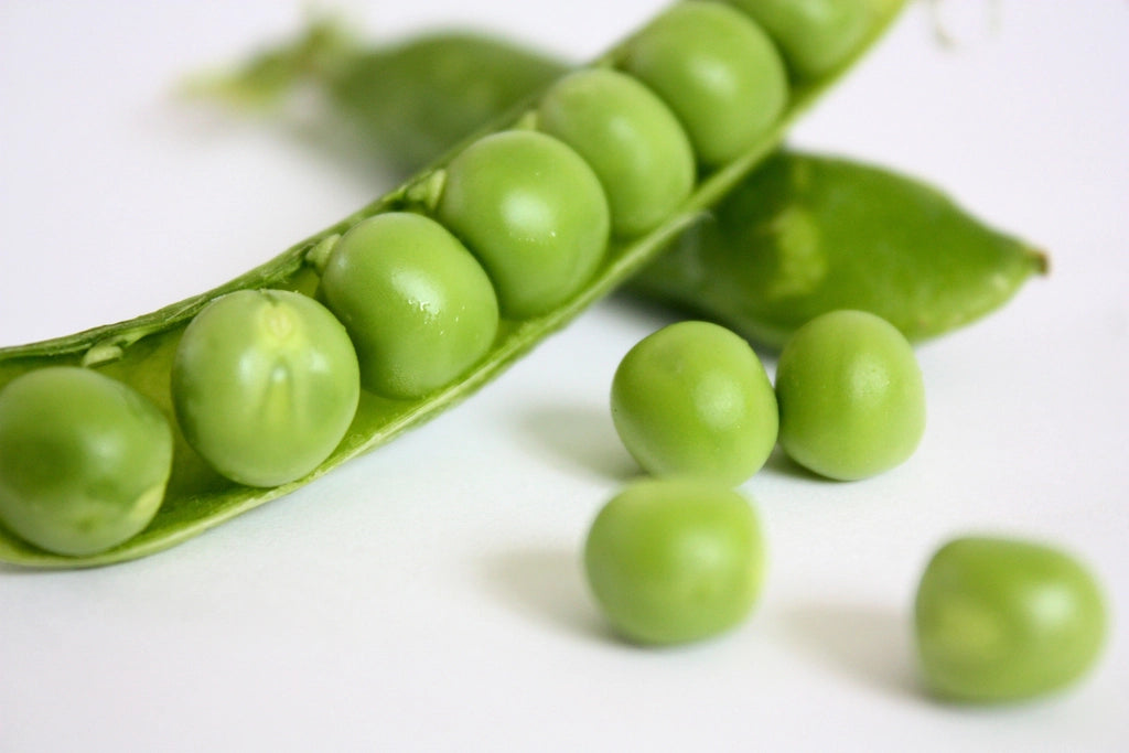 Fresh green peas spilling from an open pod