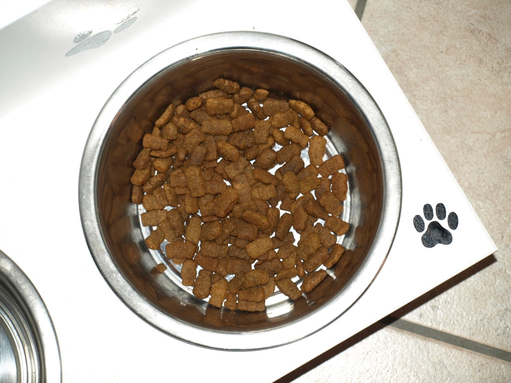 Measured portion of kibble in a dog bowl