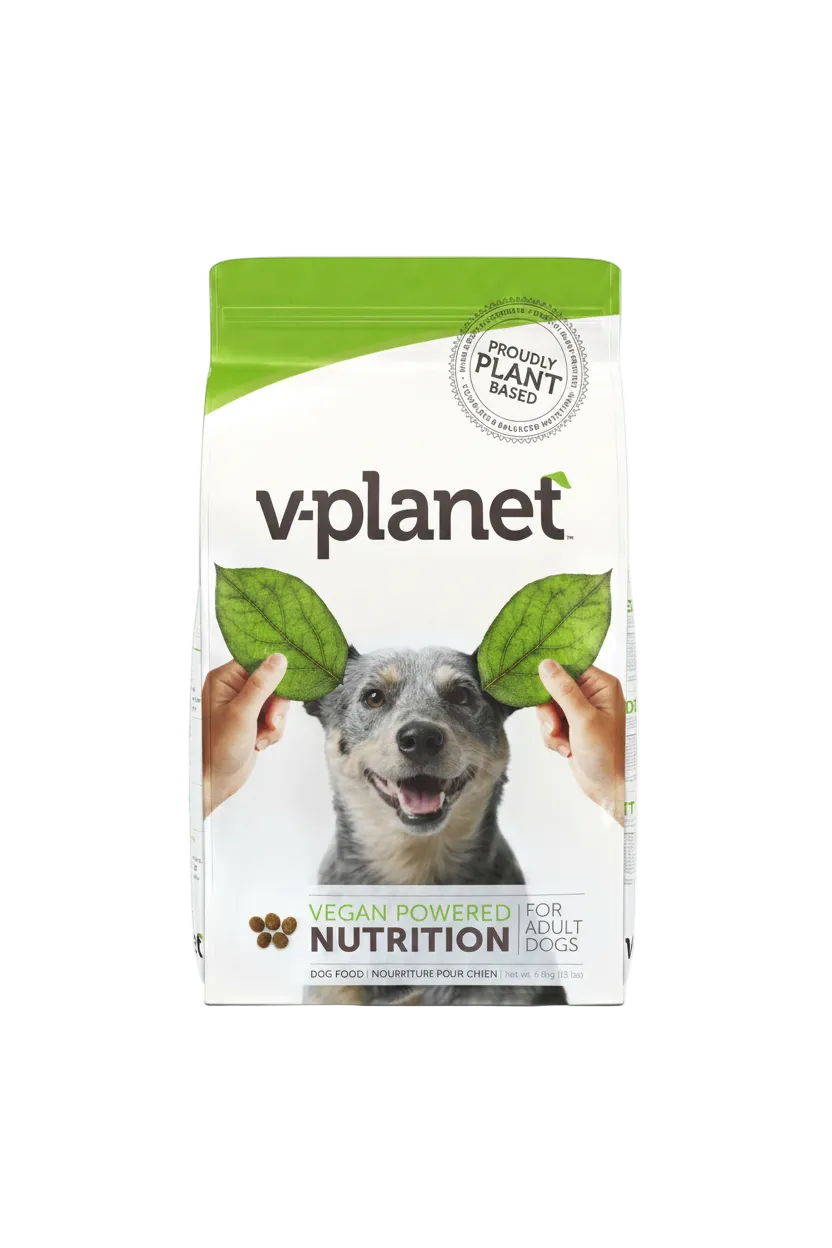 Plant Based Dog Food Benefits in UAE: The Evidence, the Myths, and Who It Helps