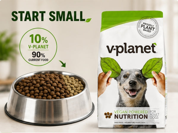 Start small