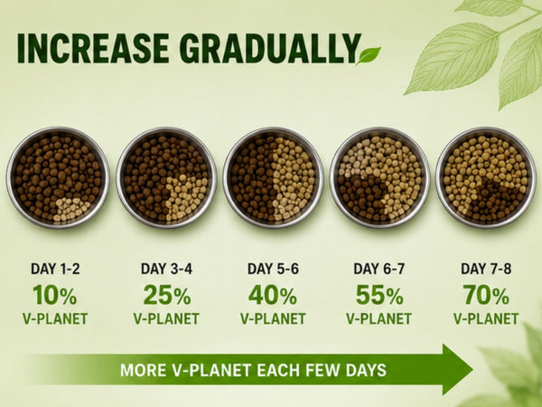  Increase gradually