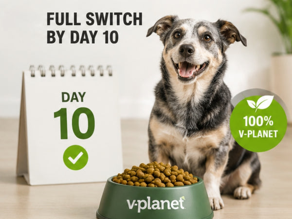 Full switch by day 10