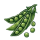 Pea Protein