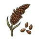 Flaxseed