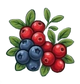 Blueberries and Cranberries