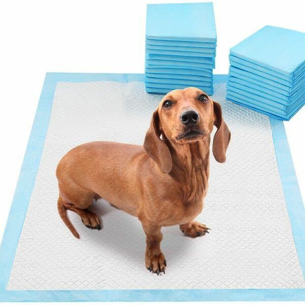 pads for dogs